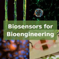 Biosensors For Bioengineering(@Biosensors_IBEC) 's Twitter Profile Photo