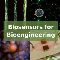 Biosensors For Bioengineering (@biosensors_ibec) 's Twitter Profile