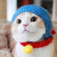 ヨコワケ🕊💕シャンシャン（May the PKTN be with you) (@yokowakefes) 's Twitter Profile Photo