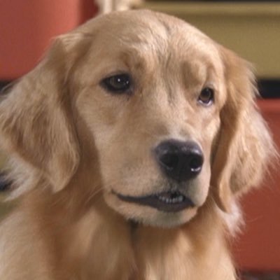 MotherlyMolly's profile picture. Mother of my sweet little Buddies, loves all roleplay