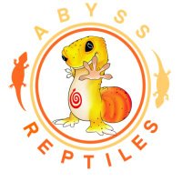 Abyss(@BloodLi23031858) 's Twitter Profile Photo