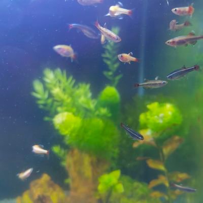 luCJtFahSafGTia's profile picture. 玩玩