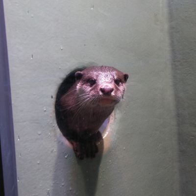 ぴえろのプーさん ひぐらしのなく頃に ちなみに知っているファンには当たり前の事ですが 今回第1話のedに使用された初代 Op ひぐらしのなく頃に 様々な部分に逆再生マジックがある 作品は音楽 ストーリー 設定 キャラ 声優 作画 この全てが ぴえろのプーさん ひぐらしのなく頃に ちなみに知っているファンには当たり前の事ですが 今回第1話のedに使用された初代 Op ひぐらしのなく頃に 様々な部分に逆再生マジックがある 作品は音楽 ストーリー 設定 キャラ 声優 作画 この全てが