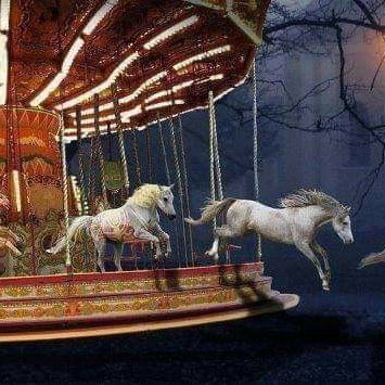 LateCate78's profile picture. 