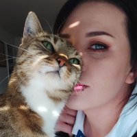 L'Auréal (@llaureated) 's Twitter Profile