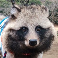 NODDY (@house_for_one) 's Twitter Profile
