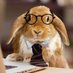 Mr. Rabbit Lacerte (@bertlacerte) Twitter profile photo Mr. Rabbit Lacerte (@bertlacerte) Twitter profile photo