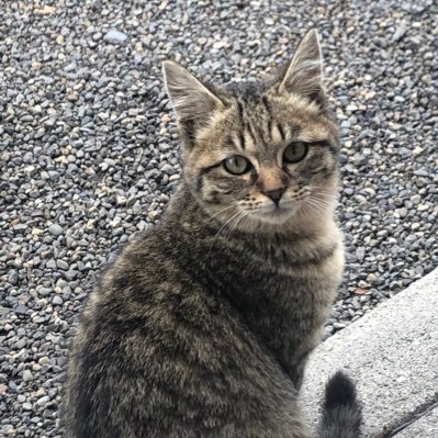 B2KuqLeafcnTvg8's profile picture. 