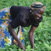 Nigeria Integrated Agriculture Activity(@NIAA_USAID) 's Twitter Profile Photo