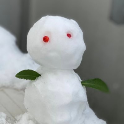 hasyu_（はしゅー）さんのプロフィール画像