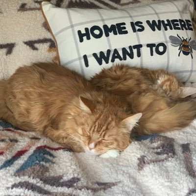 LuvKelc's profile picture. I like long walks on the beach. I like to teach. Yep, that's about it :)