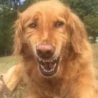 RederRibeiro's profile picture. 