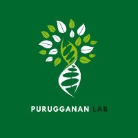 Purugganan Lab (@labpurugganan) 's Twitter Profile