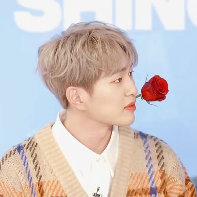 달토さんのプロフィール画像