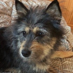 sunnyinvenice's profile picture. https://t.co/TAJqIv209n 제주 한림쉼터