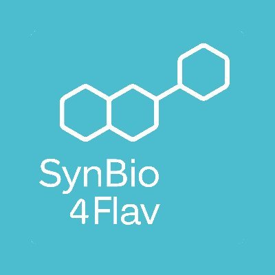 We use #synbio to deliver a paradigm shift in #flavonoid production. Smart #biotech manufacturing for a sustainable future! @EU_H2020 project