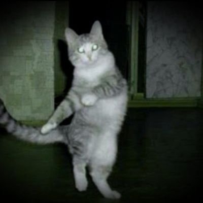 Imcancelled2's profile picture. 