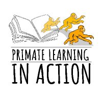 Primate Learning in Action(@PrimateLearning) 's Twitter Profile Photo