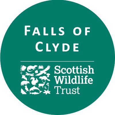 Tweets from the Ranger Team @ScotWildlife #fallsofclyde Wildlife Reserve and Visitor Centre