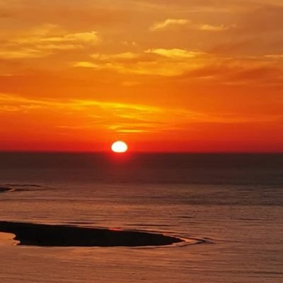 DimitriBrt's profile picture. 