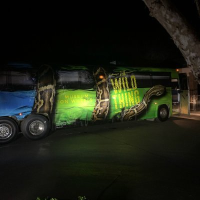 Wild Things bus can travel to your school, tournament, birthday party, festival or any other event to offer a unique animal experience for all, young and old!