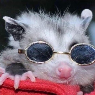 Opossum Workers Party ☭