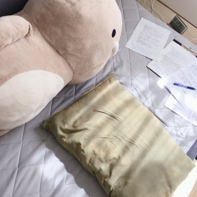 おかえりなみーおかえりともちゃんさんのプロフィール画像