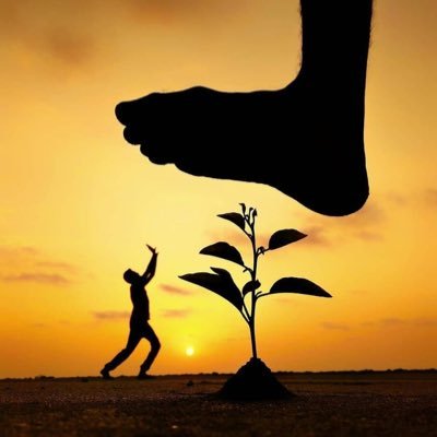 vaXqDJ6y3xbUdep's profile picture. باحث