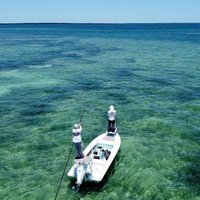Mariners For Action (MFA) (@for_mfa) 's Twitter Profile