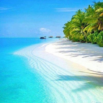 SharjilKhan19's profile picture. 