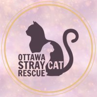 OttawaStrayCatRescue(@OttawaCatRescue) 's Twitter Profile Photo