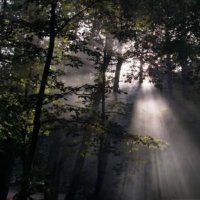 sdp (@sedep_eye) Twitter profile photo