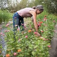 Hou van de natuur in harmonie met de moderne wereld.