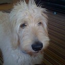 Ted Wolff - @thwolffjr - Twitter