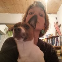 laney mannion (@elephantsatdawn) 's Twitter Profile