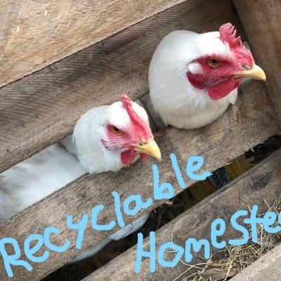 Subscribe to my YouTube
recyclablehomestead