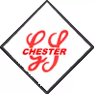 Chester Gang Show