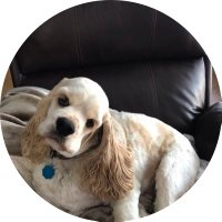 SkyyPatriot (@skyypatriot) 's Twitter Profile