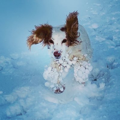 JudithinNorfolk's profile picture. crotchety old bag. 🇪🇺🇪🇺🇺🇦🇺🇦