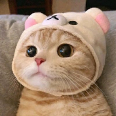 Ssae_R's profile picture. 