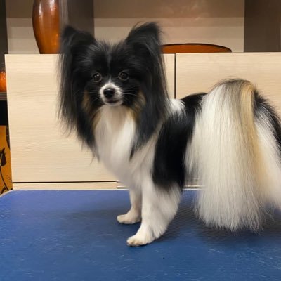 yP1sfxhH5f9SNu1's profile picture. 