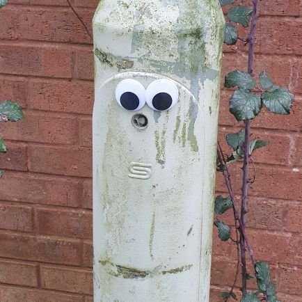 danmiller79's profile picture. Hmmmmmmmm......🤨🤔 #viewsmyown