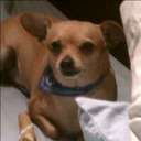 pat nellis - @patglenn1956 - Twitter