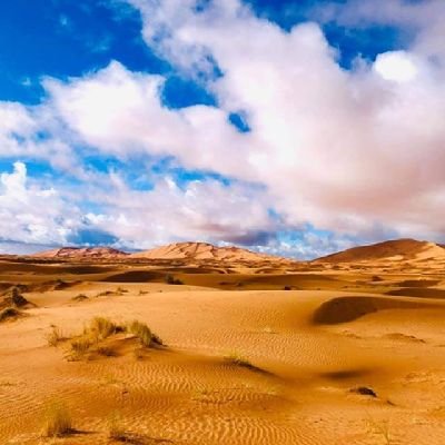 GbooTours's profile picture. Travel company that provides private &small group tours all over Morocco