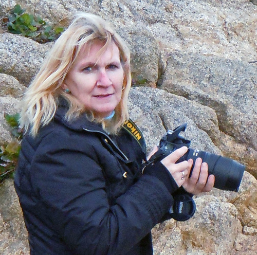 Beinok's profile picture. 