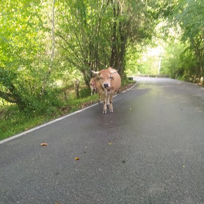 BEERcen's profile picture. 