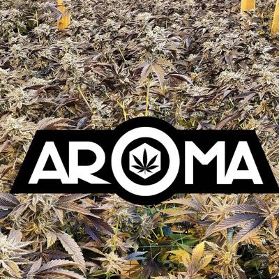 An indoor grow we will be experimenting with. Be an HHG patron with the link below 👇to support and learn how to do it at home https://t.co/YY2vrAD3YB