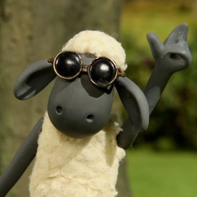 sheeplesarmypod Profile Picture