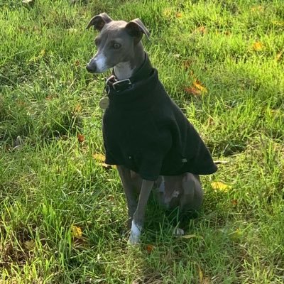 philipseidl's profile picture. After 18 years in music biz I have spent past 18 years buying / selling property in prime central London