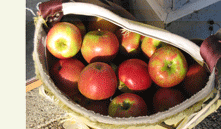 Offering 39 varieties of apples, Sweetser’s Apple Barrel & Orchards is a family owned and operated farm located in Cumberland Center.